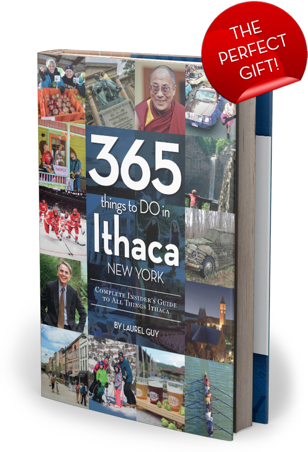 365 Things To Do In Ithaca book cover